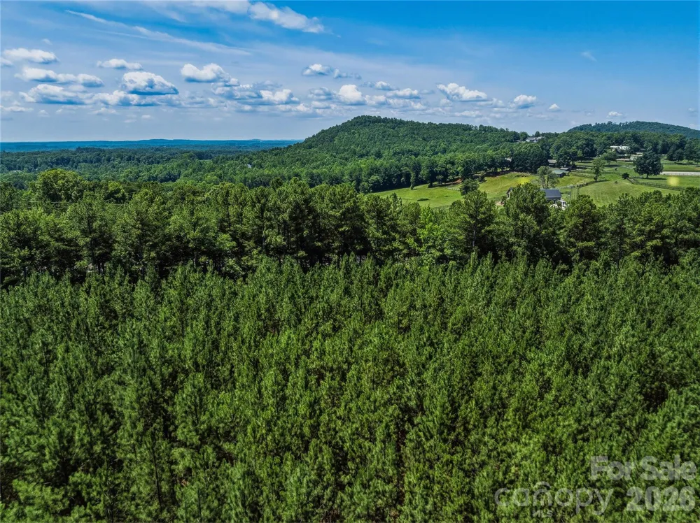 6783 Peniel Road Tryon, NC 28782