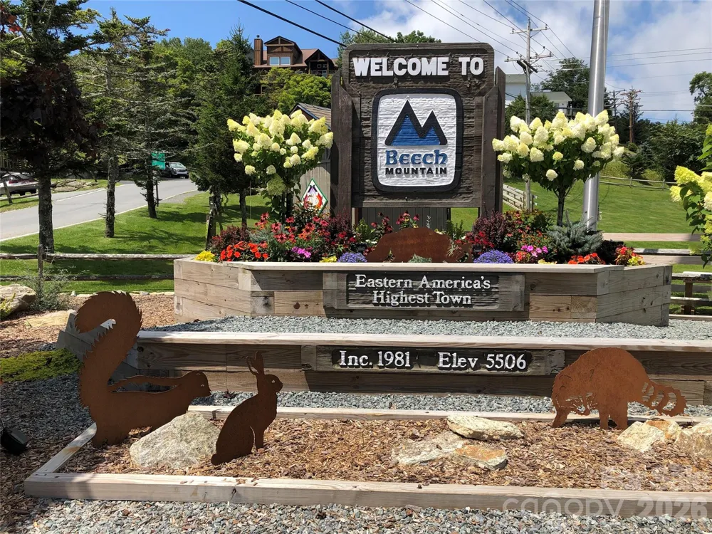 301 Pinnacle Inn Road #1110 Beech Mountain, NC 28604