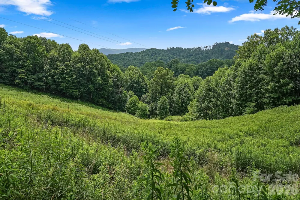 244 Flat Springs Road Elk Park, NC 28622