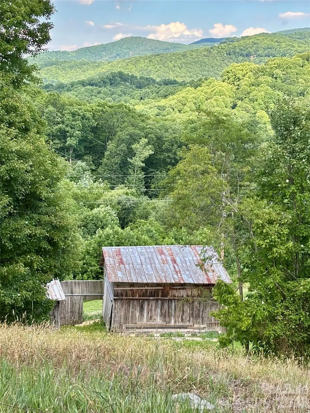 244 Flat Springs Road Elk Park, NC 28622