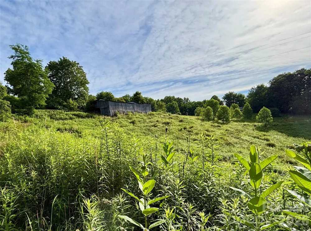 244 Flat Springs Road Elk Park, NC 28622