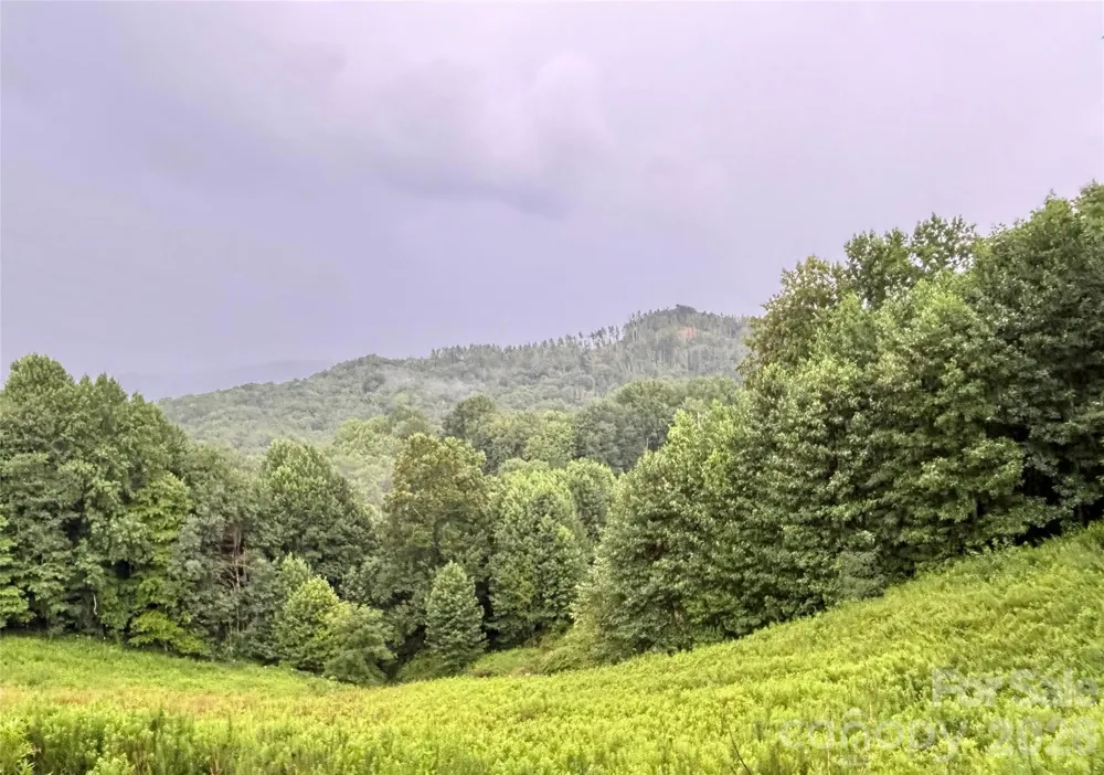 244 Flat Springs Road Elk Park, NC 28622