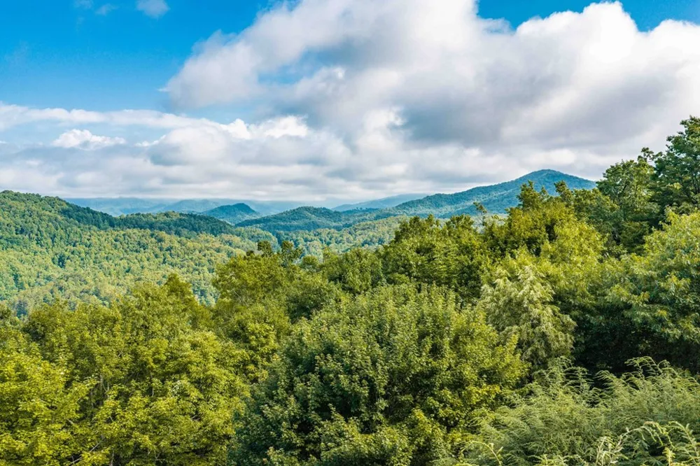 Appalachian Bryson City, NC 28713