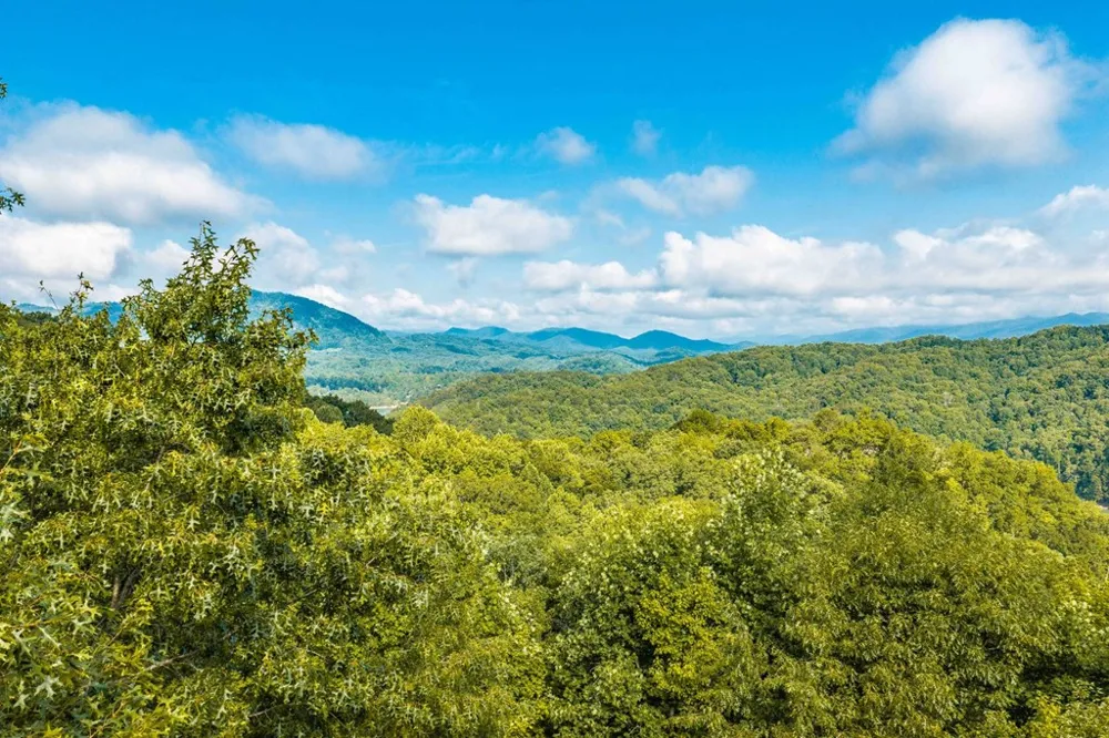 Appalachian Bryson City, NC 28713