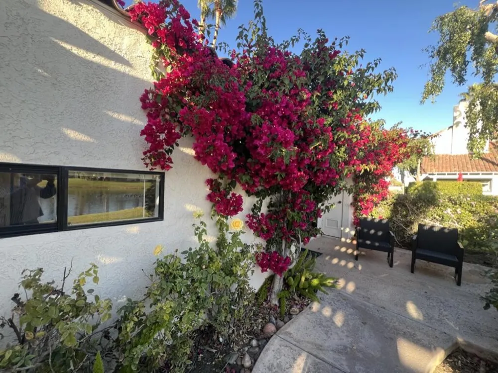 442 Sunningdale Drive Rancho Mirage, CA 92270