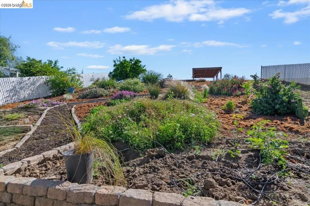 5218 Sandmound Blvd Oakley, CA 94561