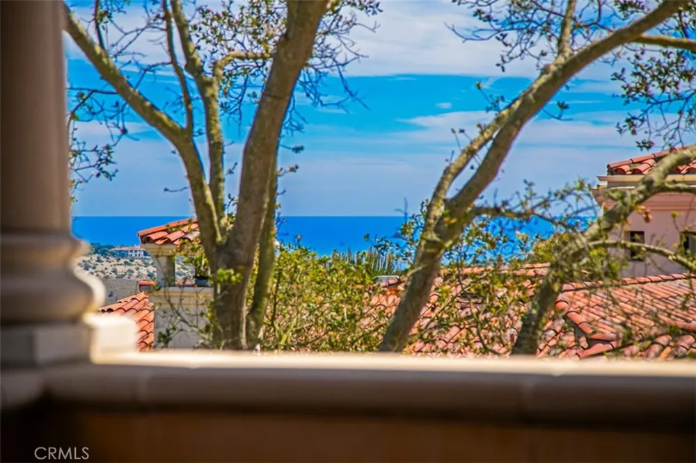4 Clearview Newport Coast, CA 92657