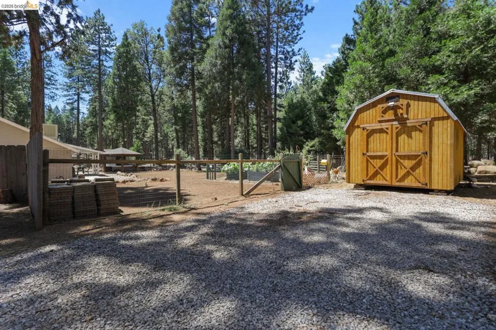 31444 Emigrant TRL Shingletown, CA 96088