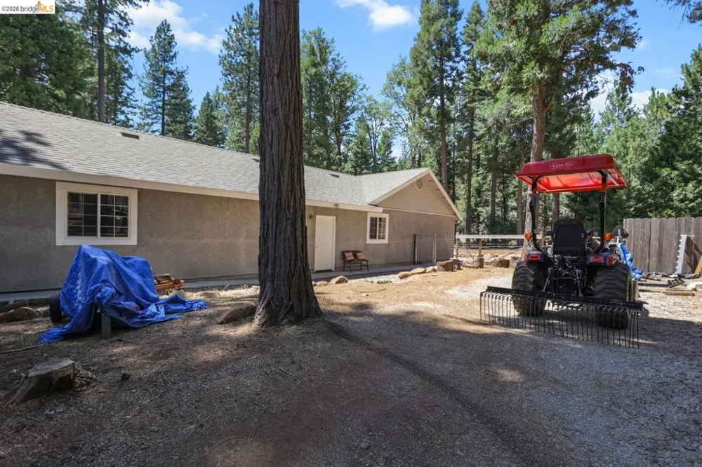 31444 Emigrant TRL Shingletown, CA 96088