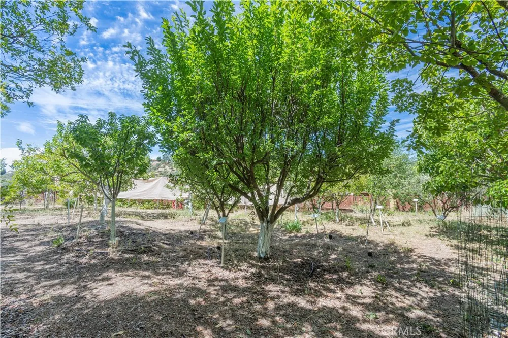 603 Nicklaus Paso Robles, CA 93446