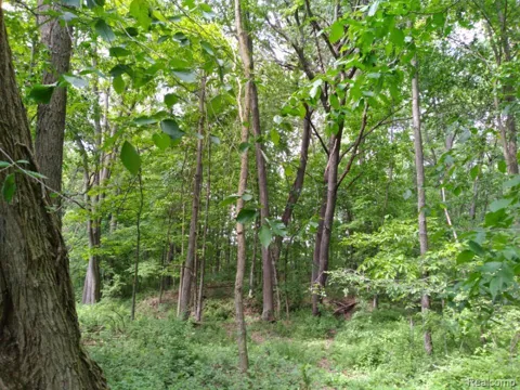 Rose Hill Rd