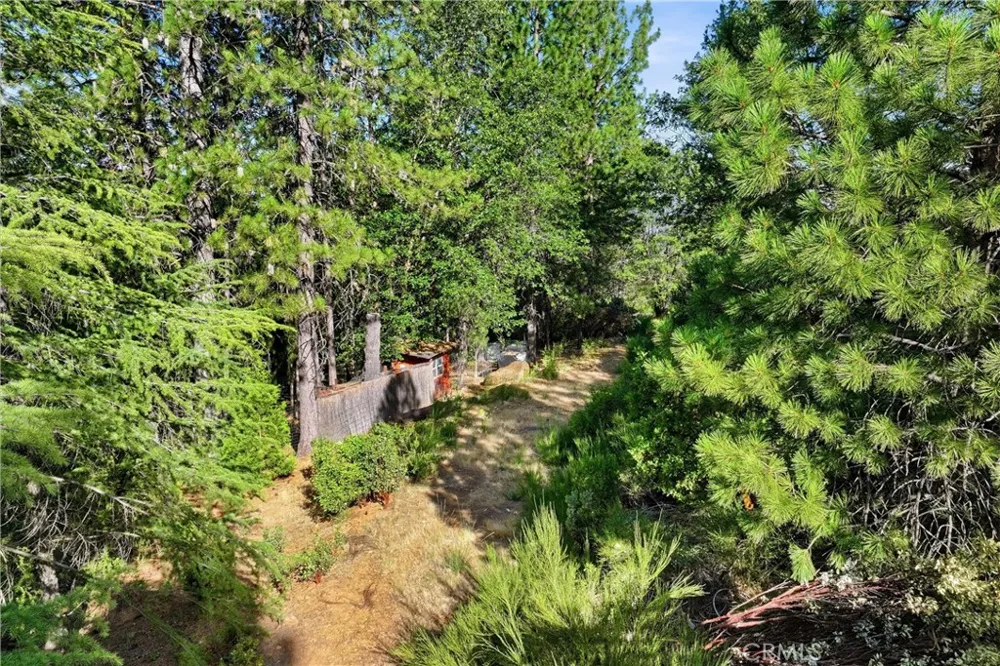 9003 Fox Drive Cobb, CA 95426