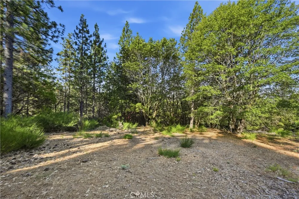 9003 Fox Drive Cobb, CA 95426