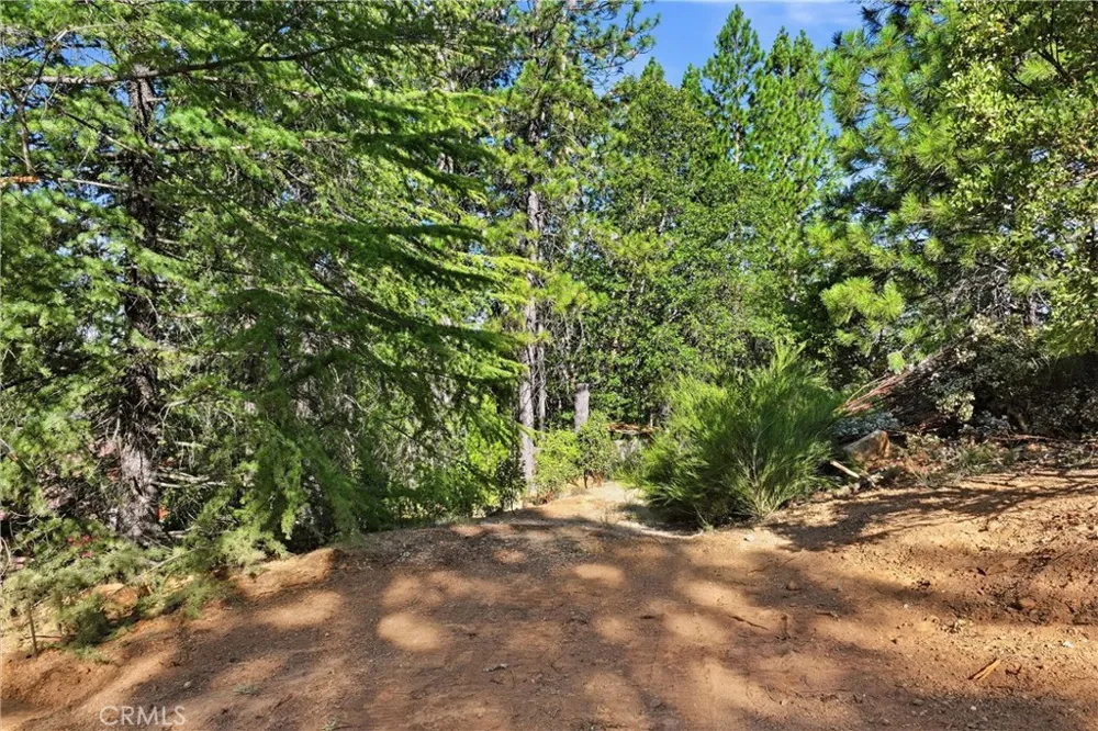 9003 Fox Drive Cobb, CA 95426