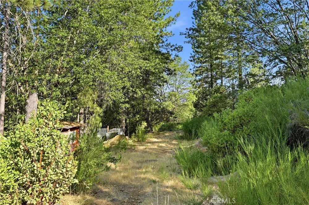 9003 Fox Drive Cobb, CA 95426