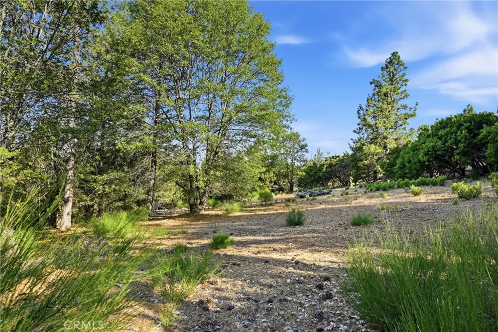 9003 Fox Drive Cobb, CA 95426