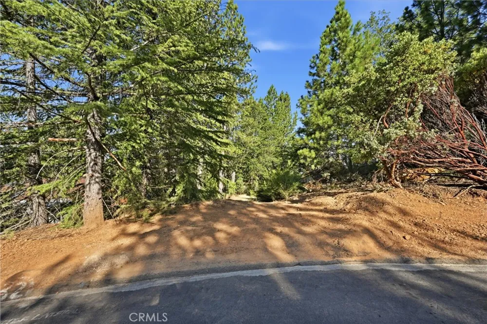 9003 Fox Drive Cobb, CA 95426