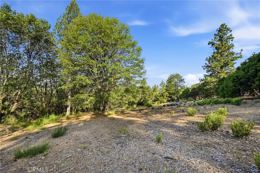 9003 Fox Drive Cobb, CA 95426