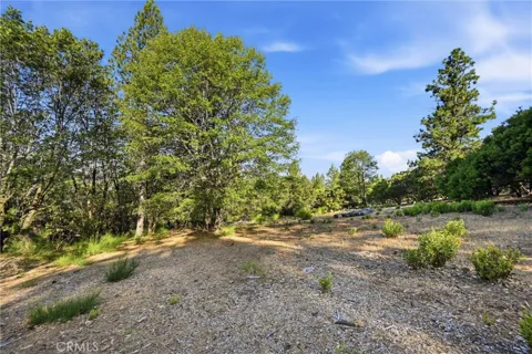 9003 Fox Drive