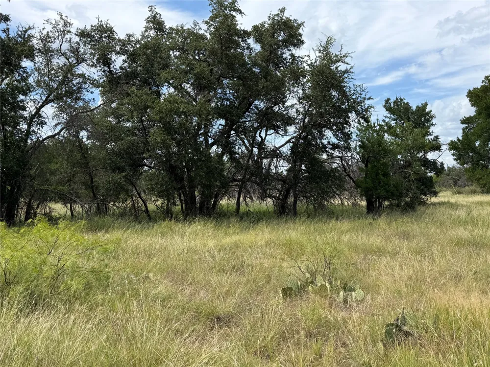 678 Batten Drive Brownwood, TX 76801