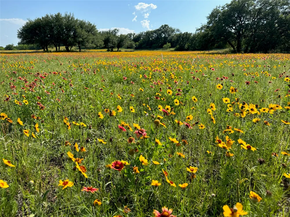 678 Batten Drive Brownwood, TX 76801