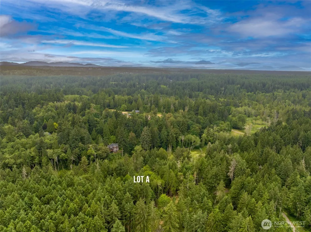 9501 Bucsit Lane NE Bainbridge Island, WA 98110