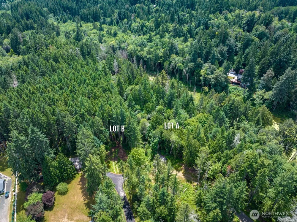 9501 Bucsit Lane NE Bainbridge Island, WA 98110
