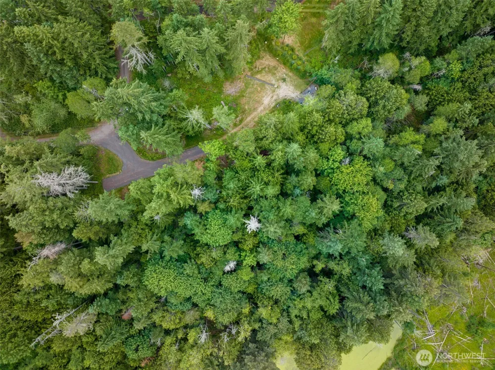 9501 Bucsit Lane NE Bainbridge Island, WA 98110