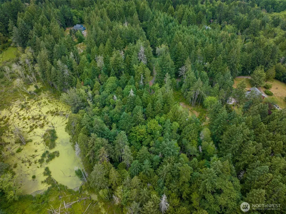 9501 Bucsit Lane NE Bainbridge Island, WA 98110