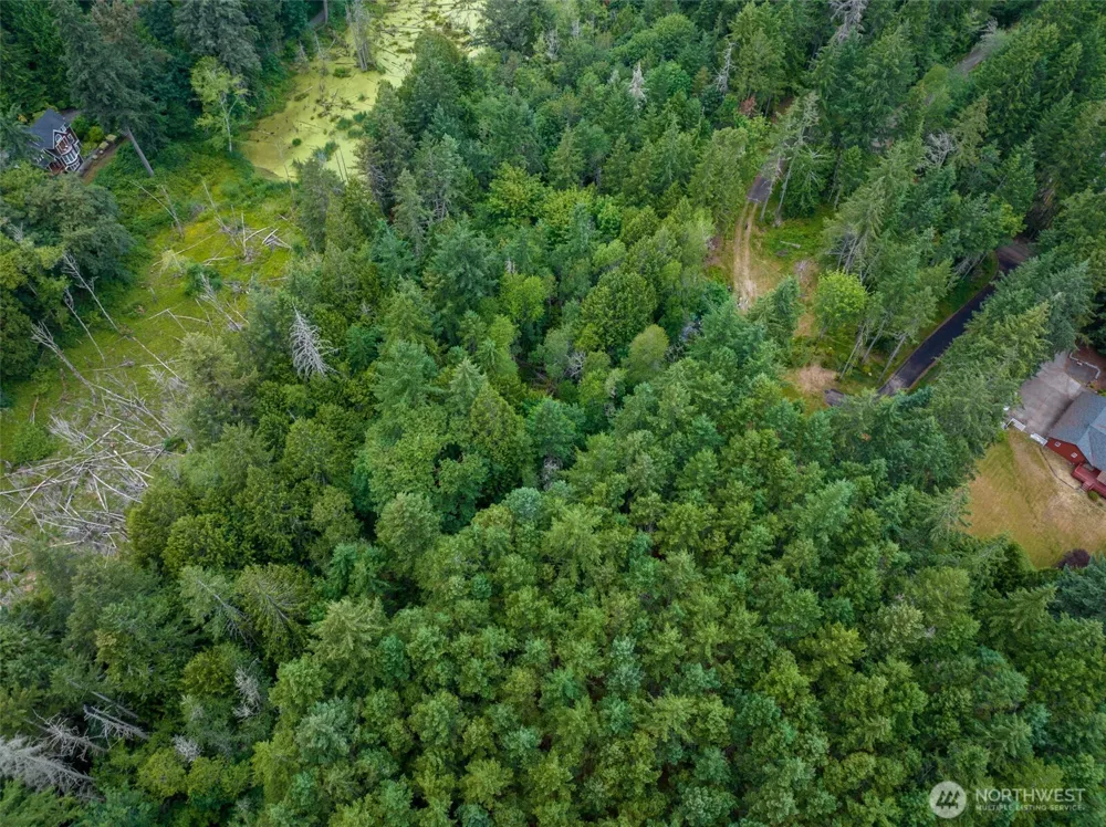 9501 Bucsit Lane NE Bainbridge Island, WA 98110