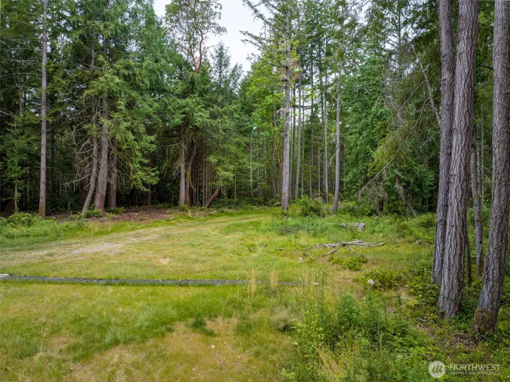 9501 Bucsit Lane NE Bainbridge Island, WA 98110