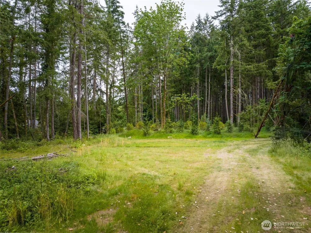 9501 Bucsit Lane NE Bainbridge Island, WA 98110