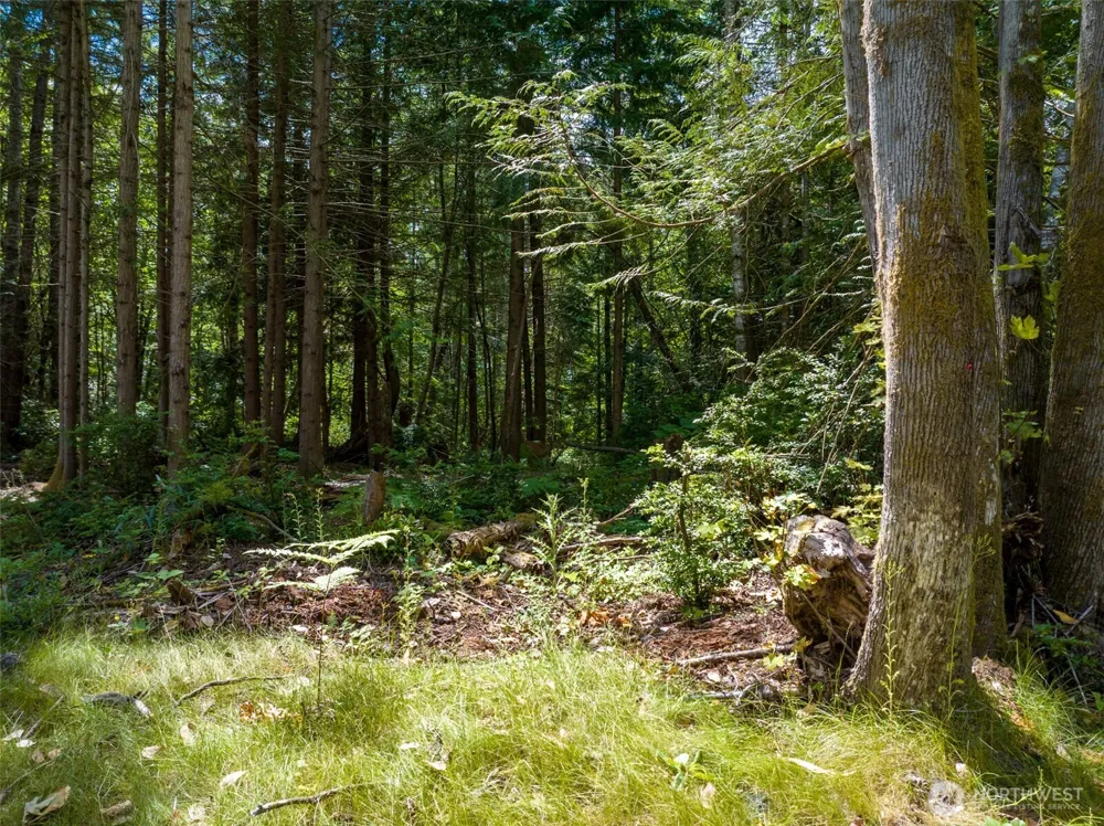 9501 Bucsit Lane NE Bainbridge Island, WA 98110