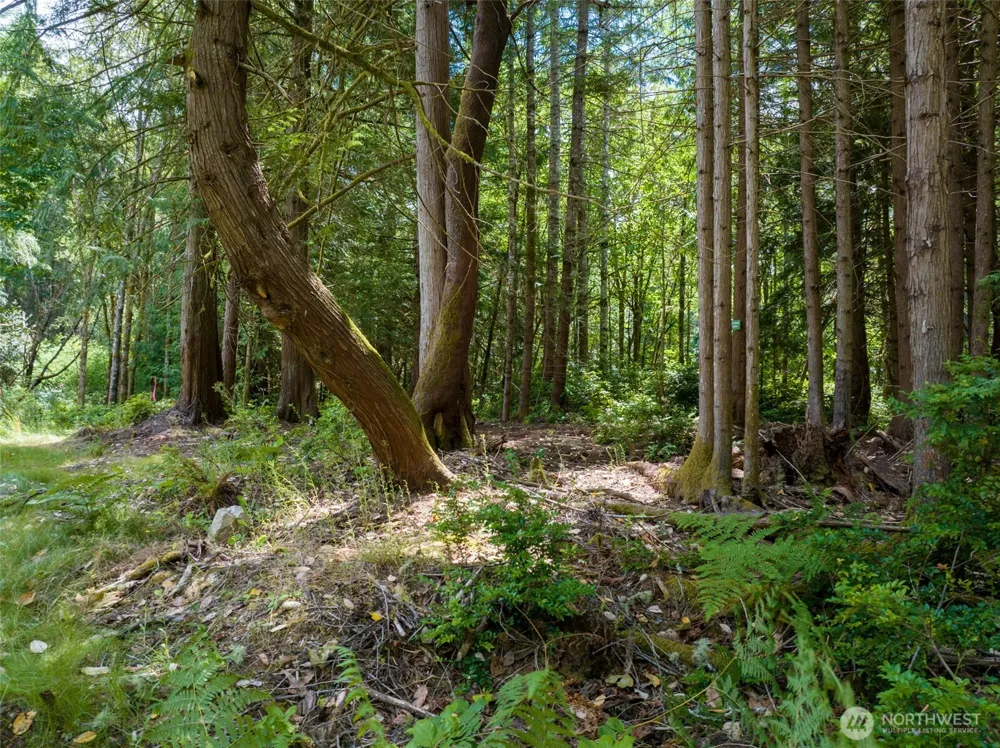 9501 Bucsit Lane NE Bainbridge Island, WA 98110