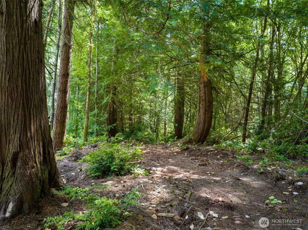 9501 Bucsit Lane NE Bainbridge Island, WA 98110
