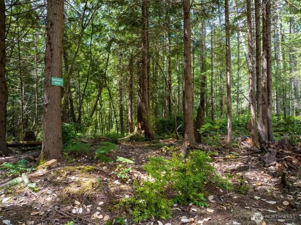 9501 Bucsit Lane NE Bainbridge Island, WA 98110