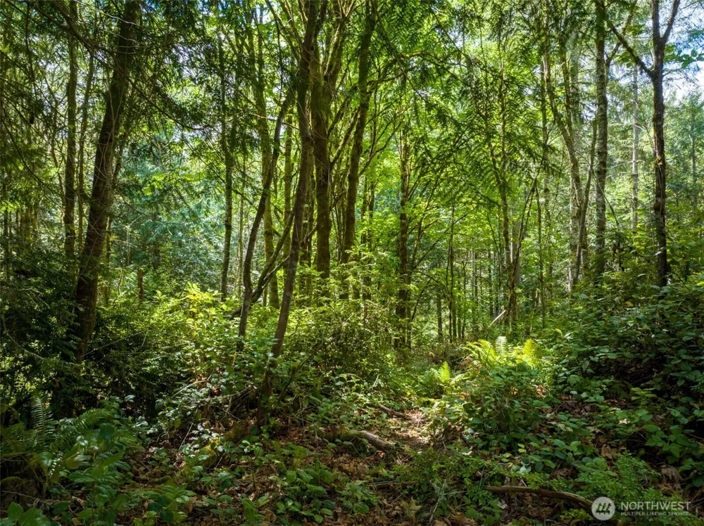 9501 Bucsit Lane NE Bainbridge Island, WA 98110