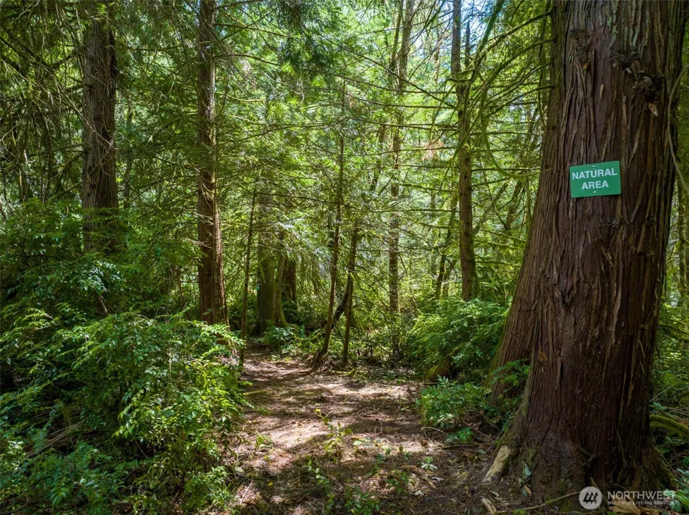 9501 Bucsit Lane NE Bainbridge Island, WA 98110