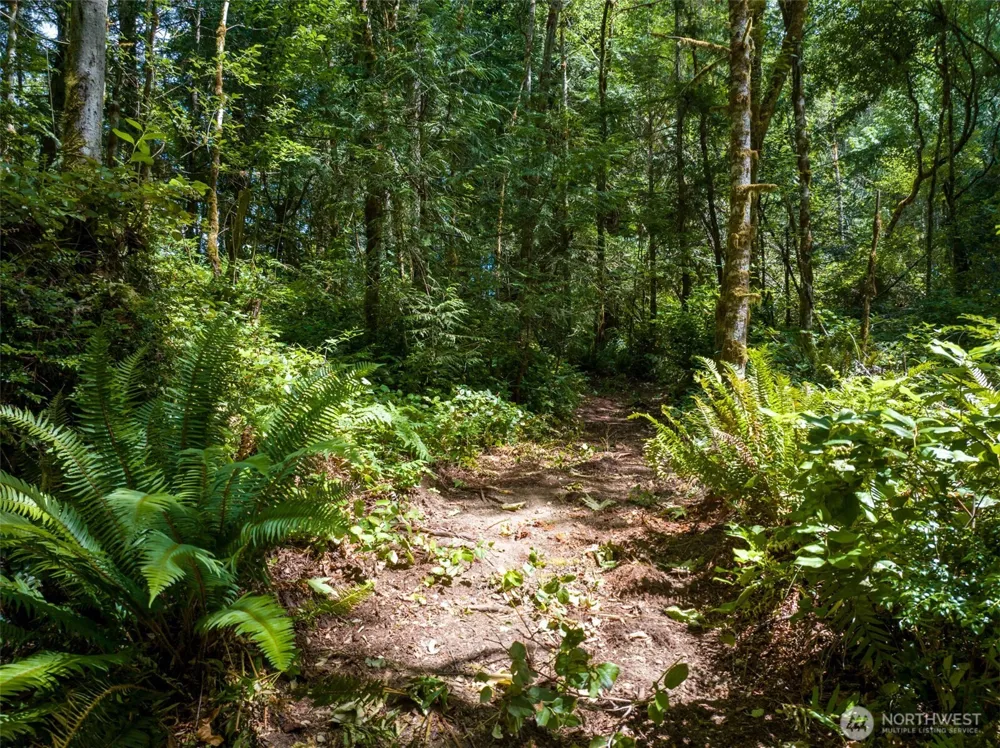 9501 Bucsit Lane NE Bainbridge Island, WA 98110