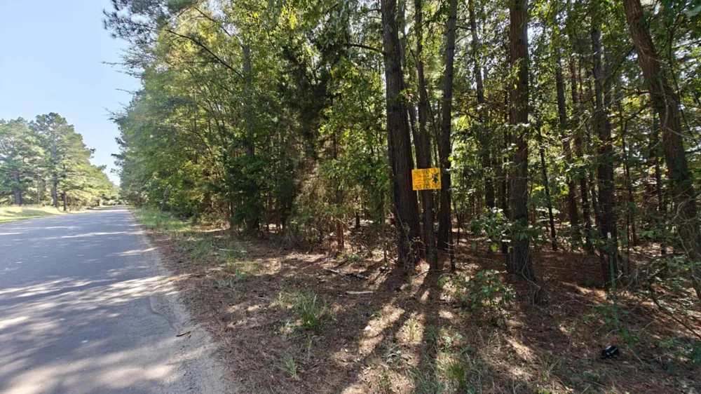 24068 County Road 244 Overton, TX 75684