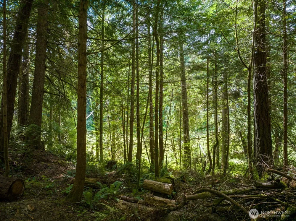 9495 Bucsit Lane NE Bainbridge Island, WA 98110