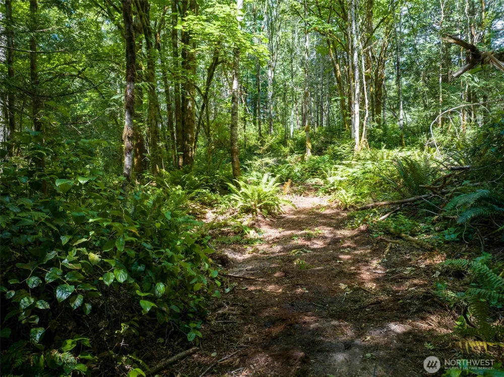 9495 Bucsit Lane NE Bainbridge Island, WA 98110