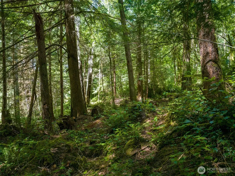 9495 Bucsit Lane NE Bainbridge Island, WA 98110