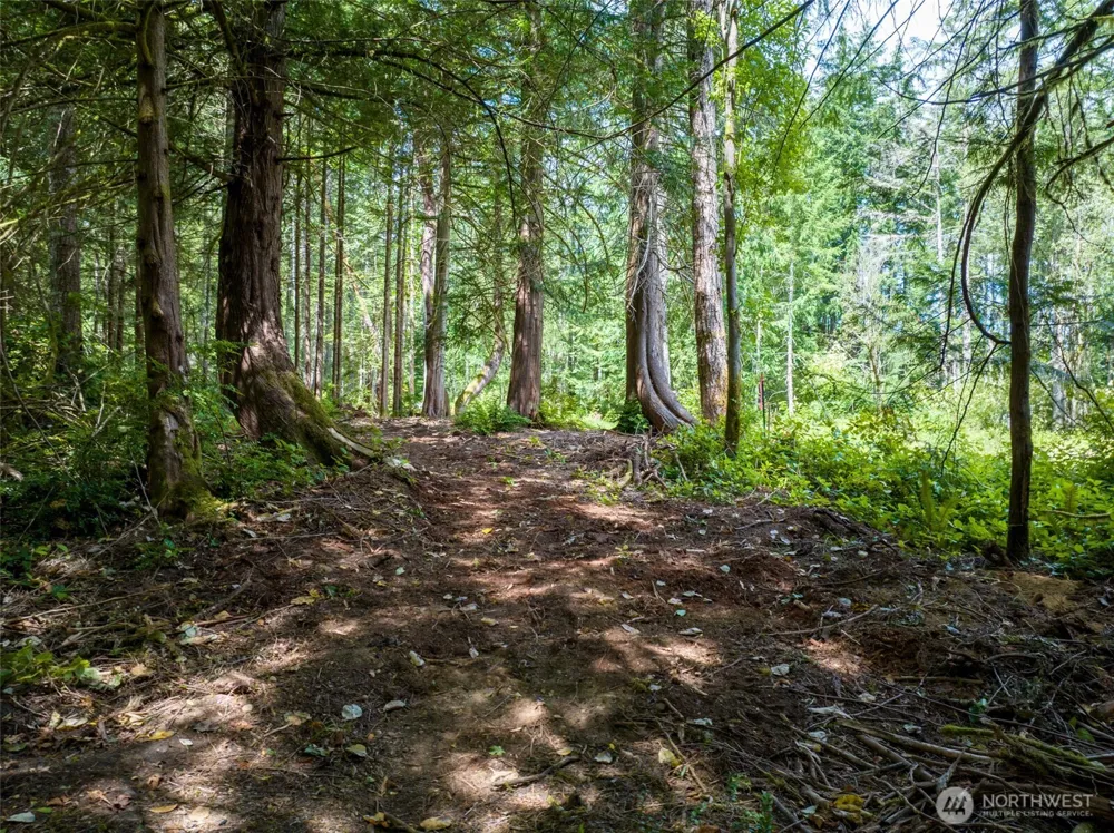 9495 Bucsit Lane NE Bainbridge Island, WA 98110