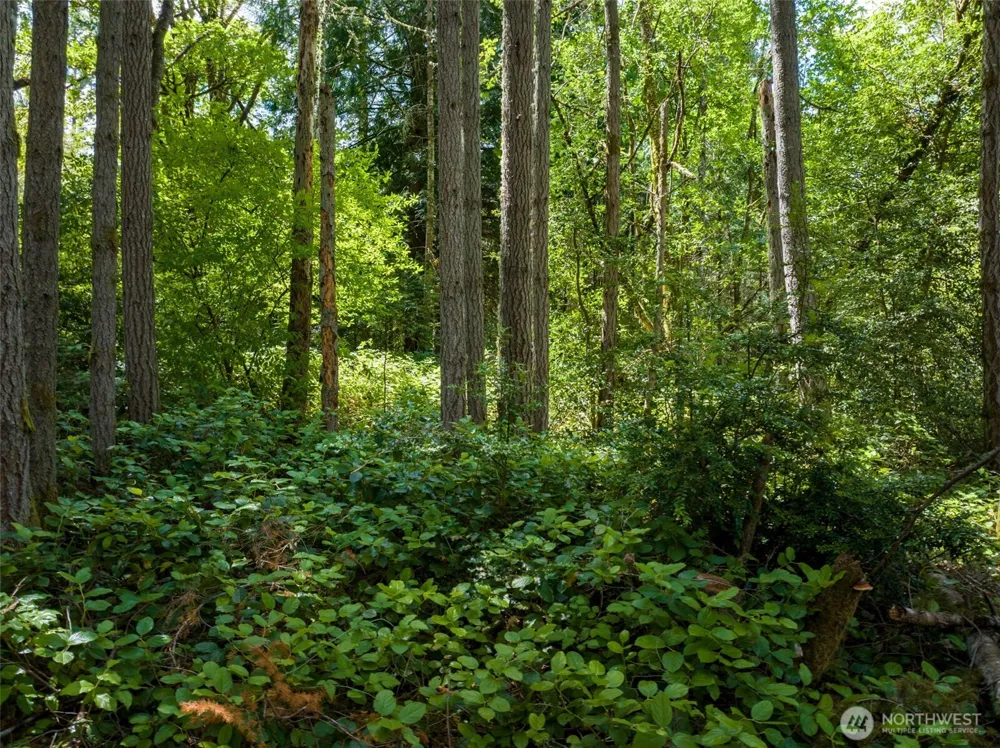 9495 Bucsit Lane NE Bainbridge Island, WA 98110