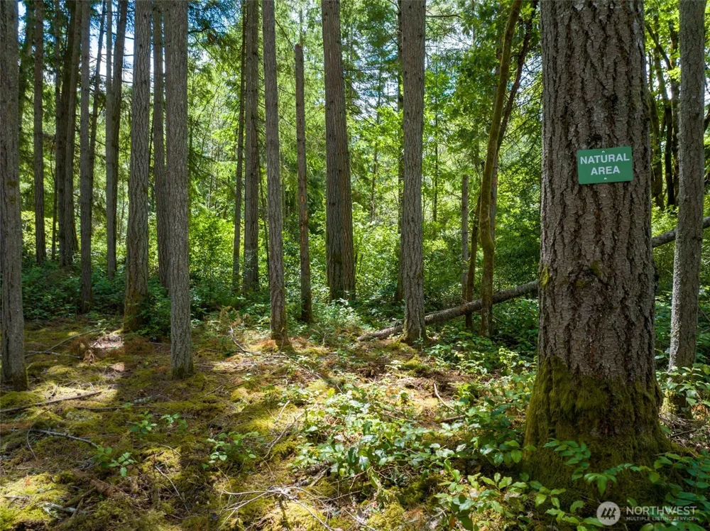 9495 Bucsit Lane NE Bainbridge Island, WA 98110