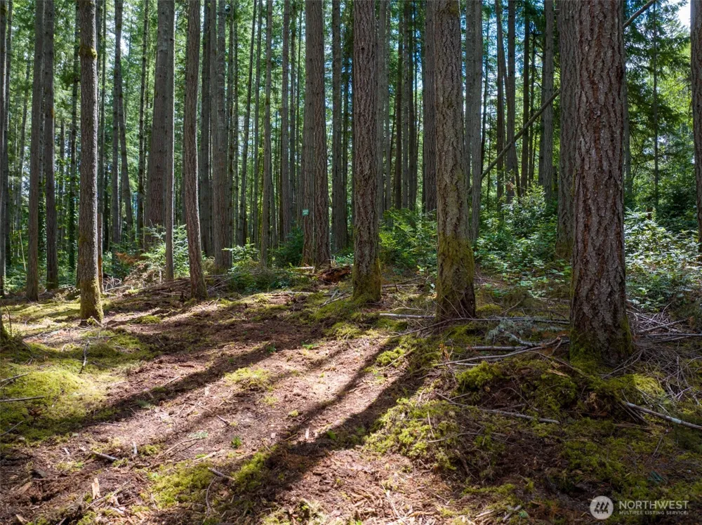 9495 Bucsit Lane NE Bainbridge Island, WA 98110