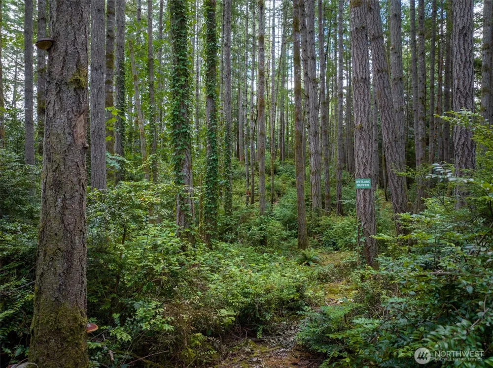 9495 Bucsit Lane NE Bainbridge Island, WA 98110