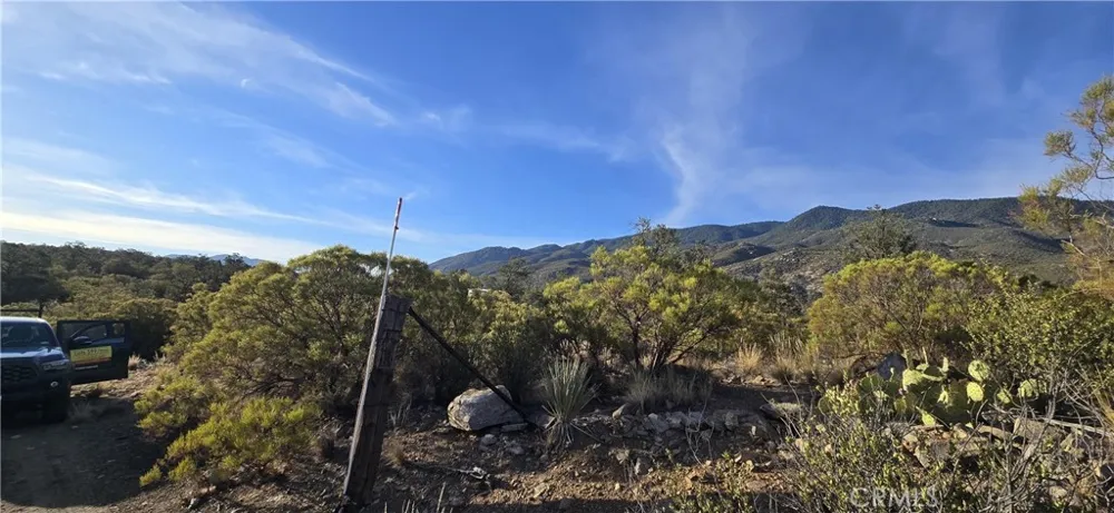 64001 Palm Canyon Mountain Center, CA 92561
