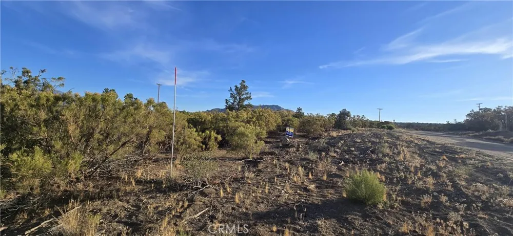 64001 Palm Canyon Mountain Center, CA 92561